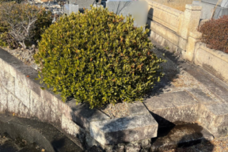 【外柵据え直し工事】名古屋市天白区 After