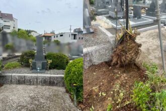 【墓誌新設・植木撤去】名古屋市天白区
